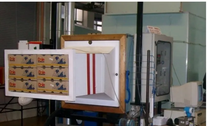 Figure 1: Picture of the wind tunnel with cartons/boxes of table grape 