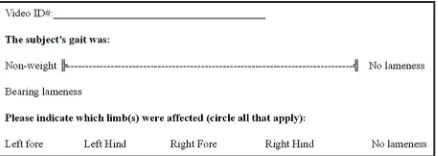 Fig. 1. Visual Analogue Scale completed by raters in this experiment to categorize the degree of lameness.