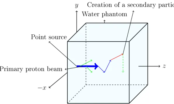 Figure 5.1: A beam of source protons (blue) is directed into the phantom of water. Arrows (associated with their length) represent steps of particle tracks
