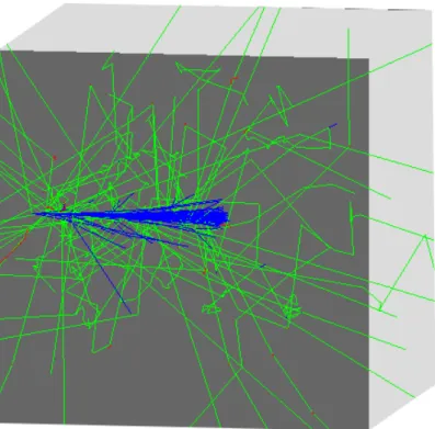 Figure 5.2: Incident protons (blue) from a point source located at the origin and initially along the positive z-axis scatter laterally and generate secondary particles (e.g., electrons (red), gammas or neutrons (green), etc.) as they interact with water.
