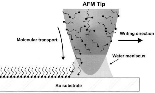 Figure 5: Material deposition using DPN [11] 