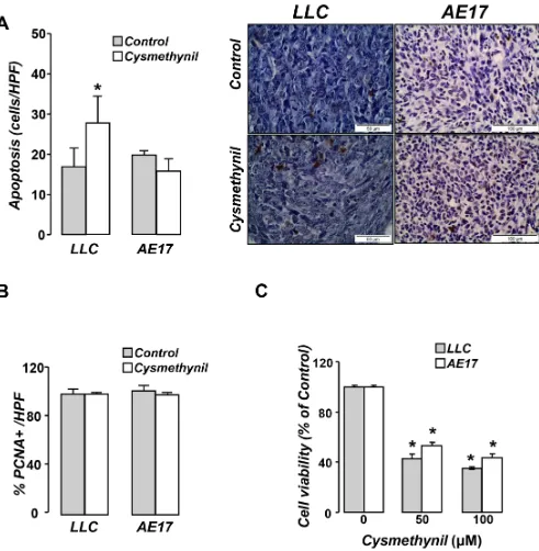 Figure 6: Cysmethynil induces tumor cell apoptosis in vivo and reduces tumor cell viability in vitro