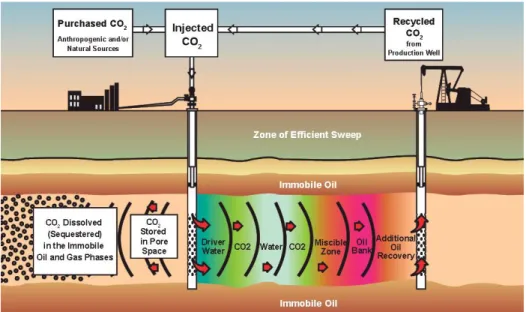 Figure 2.3. CO 2  flooding process [Reference 14]  