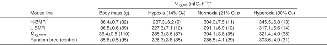 Table 1. Unadjusted body mass and peak metabolic rate of the mouse lines used in different partial pressures of oxygen