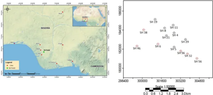 Fig. 1 Base map of the study area showing well locations in the SH field (modified after Edigbue et al