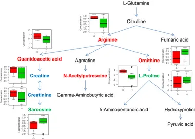 Figure 3: Metabolites involved in arginine and proline pathway that significantly differed by IDH mutation status