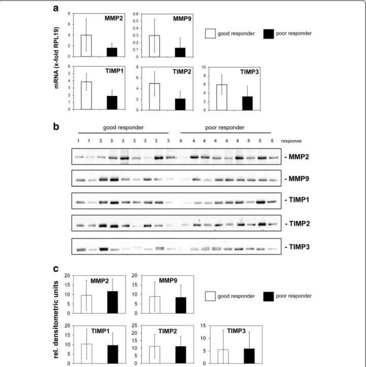 Fig. 2 Quantitative analysis of MMP2, MMP9, TIMP1, TIMP2 and TIMP3 gene and protein expression