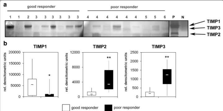 Fig. 4 a Reverse zymography of total protein lysates from osteosarcoma pretreatment biopsies