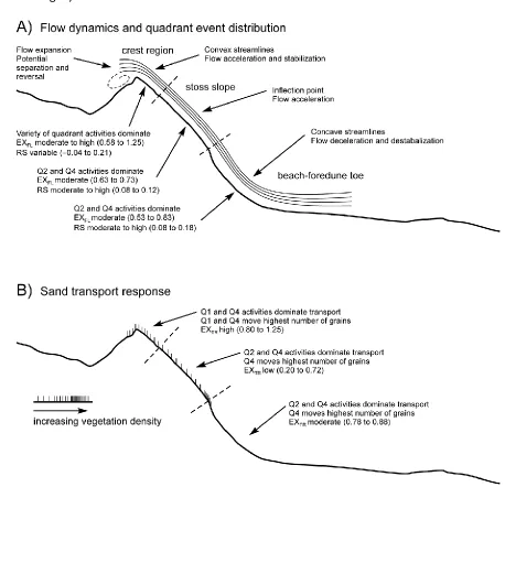 Figure 5: Conceptual model showing observed streamline behaviour, flow dynamics, Reynolds stress (RS) quadrant event activity, and sand transport responses over a foredune