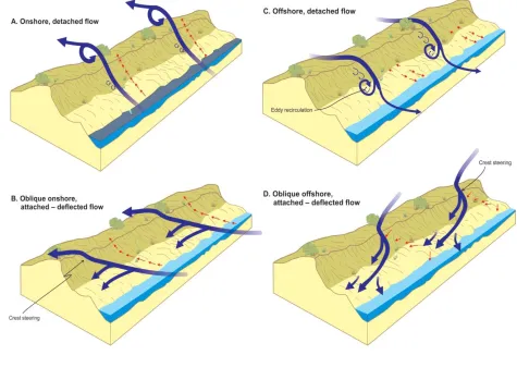 Figure 6: Conceptual model of flow–form interaction and topographic steering over a large foredune for variable wind approach directions