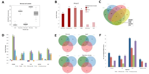 Figure 3: Compartment-specific gene expression markers of BTNBC. (A) comparison of ESTIMATE stromal score between PDX, TCGA, CCLE and clinical stroma samples