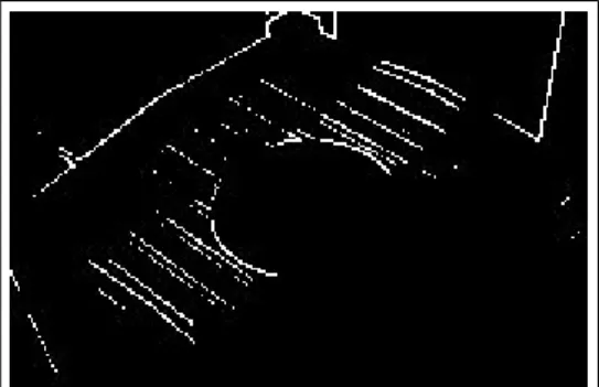 Fig 8. Example image