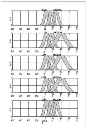 Fig 13. Interval valued membership functions designed for the input variables and the output