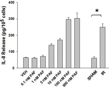 Figure 3: Ionizing Radiation of B16F10 cells generates PAF-R agonistic activity as measured by IL-8 production in KBP cells