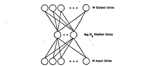 Figure 4. A network that develops an efficient encoding of its environment. 