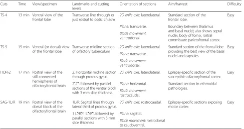 Table 8 Systematic trimming of the frontoparietal region (Block B)