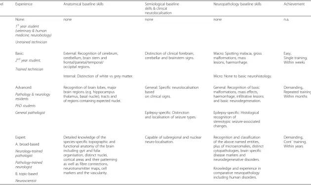 Table 1 Skill level thresholds in brain pathology with special reference to epilepsy pathology