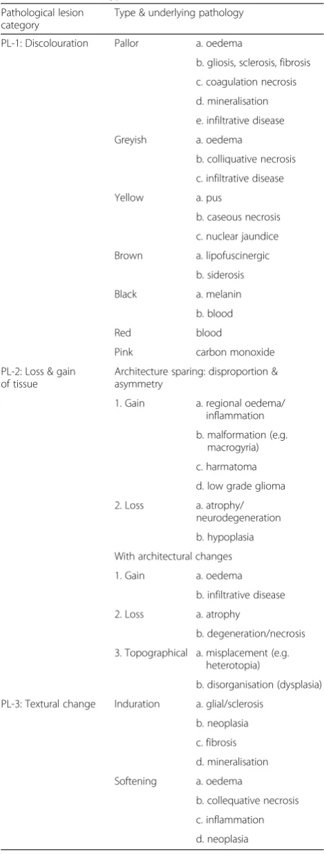 Table 6 Brain lesion types