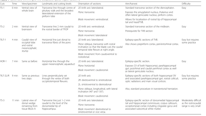 Table 7 Systematic trimming of the occipitotemporal region (Block A)