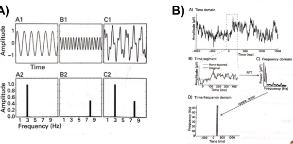 Figure 2-5 Effect of FFT in different sine waves a) Sine wave A1 (with amplitude 1  and frequency of 3 Hertz) and sine wave B1 (with amplitude 0.5 and frequency of 8  Hz) are combined to create signal C1