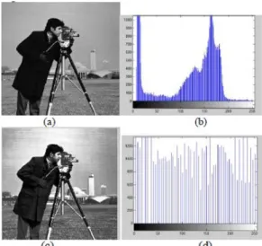 Figure 2.17: Output of the Histogram and Histogram Equalization implemented using  Xilinx Vivado HLS tool [39]