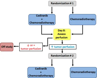 Figure 1: Hypothetical trial to evaluate tumor perfusion as a predictive biomarker for survival in GBM patients
