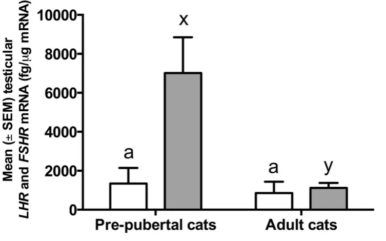 Figure 6. The mean mRNA concentration (fg/μg mRNA) (± SEM) for LHR and FSHR in 