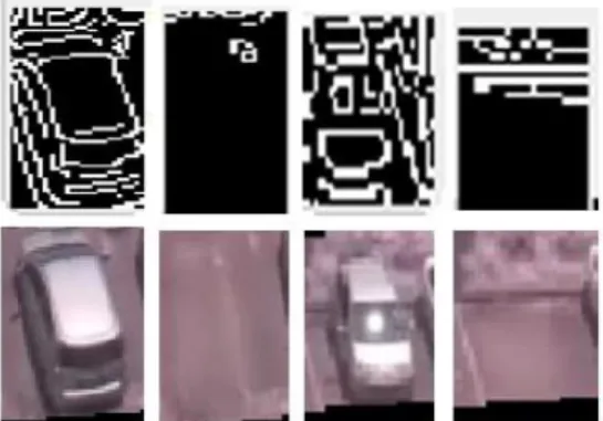 Figure 2. Image after Canny edge detection 