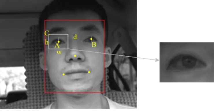 Figure 3: Extracting the region of interest by MTCNN 