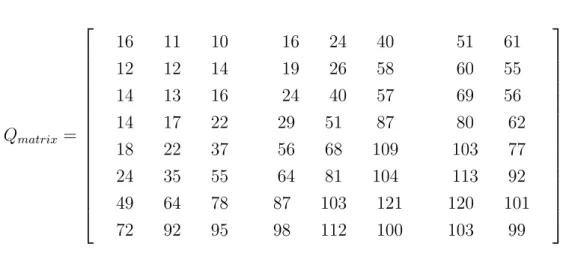 Figure 2.3: Zig Zag encoder