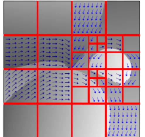 Figure 3.1: Example of an adapted dyadic squares segmentation of an image and and its corresponding flow