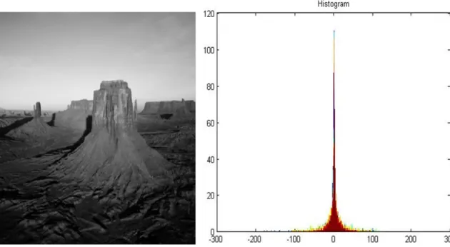Figure 1.1 Desert image and its histogram of differences between neighbouring pixels   Compression  algorithms  generally  exploit  statistical  information  about  the  frequency  distribution of symbols/characters of the input data in order to reduce red