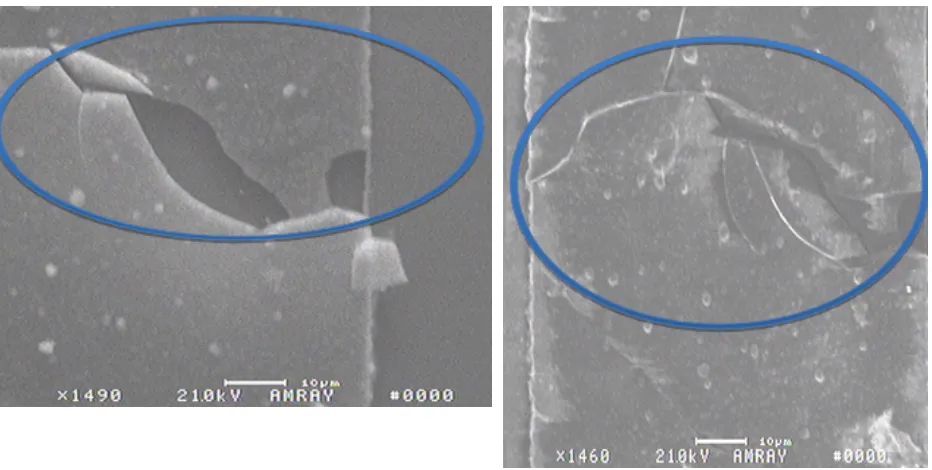 Figure   3.21   -­‐   SEMs   @   1490X   of   Broken   Interconnects   
