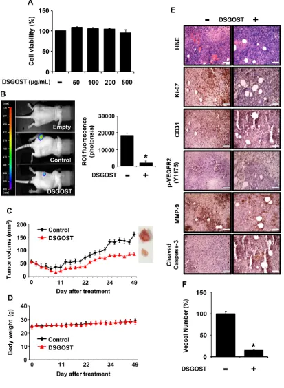 Figure 5: Inhibitory effect of DSGOST on tumor growth and angiogenesis in vivo. (A) The effect of DSGOST on the viability in Panc‑28‑luc cells was determined by the MTT assay (mean ± SD; n = 6)