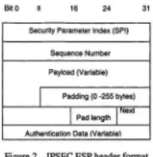 Figure 2. IPSEC ESP header fonnat