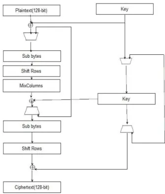Figure 1: General Structure of AES [1]
