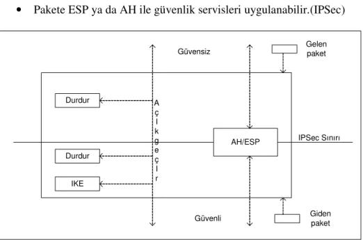 Şekil 2.1: Üst seviye IPSec modeli 