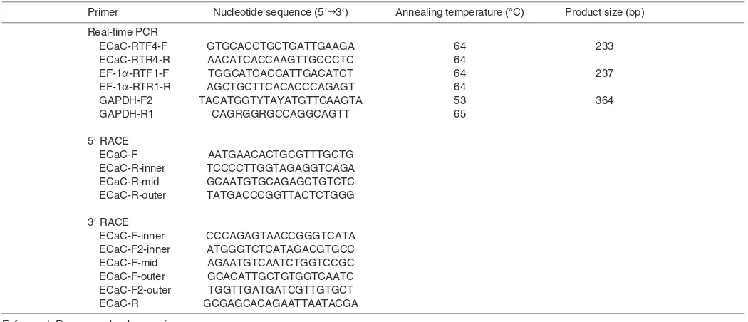 Table 2. Primers used for real-time PCR, and 5� and 3� RACE of lake sturgeon epithelial Ca2+ channel (ECaC)