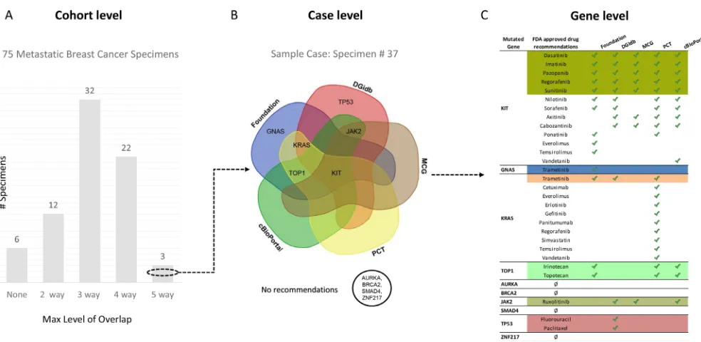 Figure 3: Overview of overlapping FDA approved drug recommendations at multiple levels