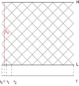 Figure 2: Binomial interpolated lattice mesh.