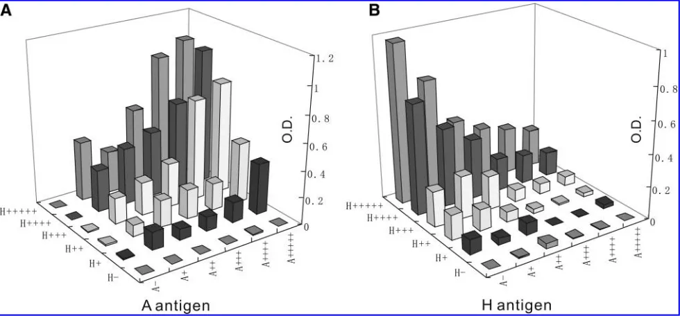 FIG. 2.Dose-dependent A antigen production and H antigen consumption after combined exposure to serially dilutedLvCMV-A-trs and LvCMV-H-trs lentiviral vectors