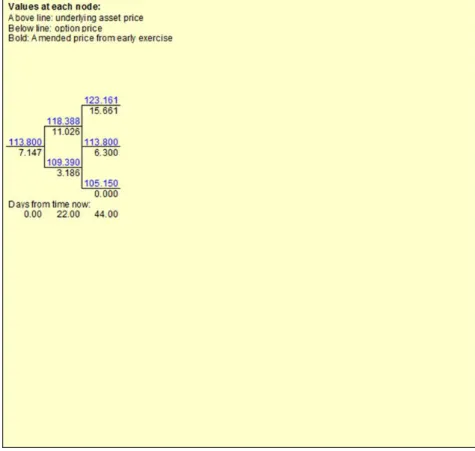 Figure 2.6 Binomial Tree on-line Calculator Result with 2 steps