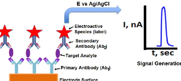Figure 1.2: Illustration of electrochemical method for protein biomarker detection. 