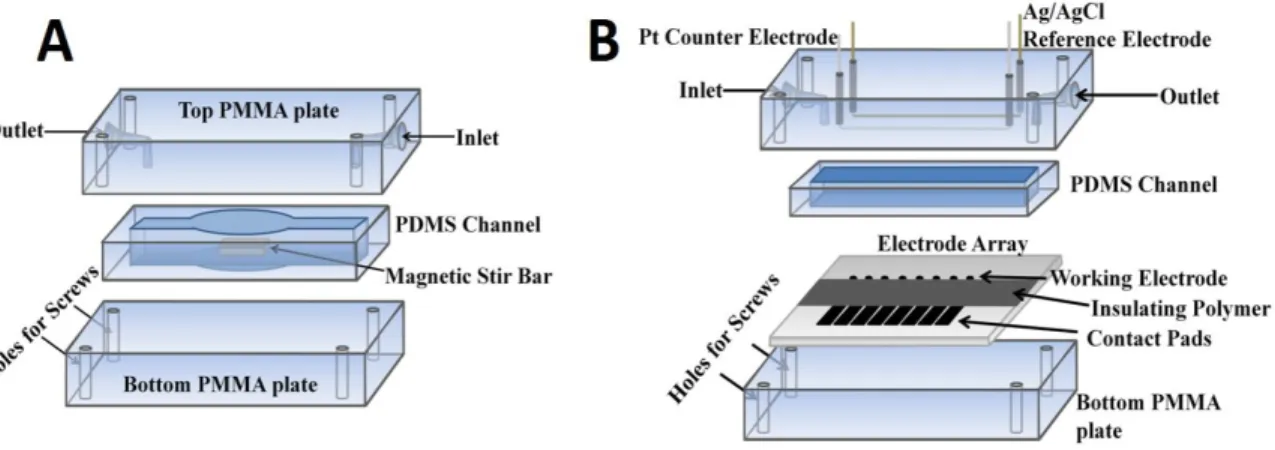 Figure  2.1:  Components  of  (A)  capture  chamber  in  which  target  proteins  are  captured on-line from the sample and (B) detection chamber that houses the 8-  electrode array