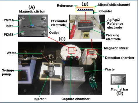 Figure 2.2: Photographs of microfluidic system for on-line protein capture and detection 