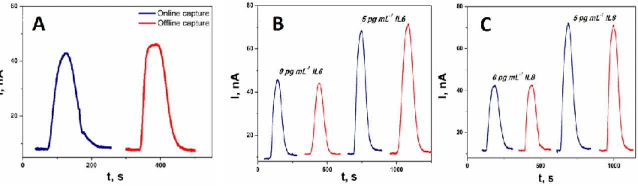 Figure  2.6:  Amperometric  signals  for  (A)  on-line  vs  off-line  capture  protocol  for  control,  (B)  individual  standard  solutions  of  IL-6  and  (C)  IL-8  in  undiluted  calf  serum at -0.2 V vs Ag/AgCl developed by injecting a mixture of 1 mM