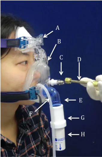 Figure  12  Illustration  of  a participant wearing a full face mask  (A)  forehead support  and pad, (B) face mask, (C) adaptive  sampler sampling capillary, (D)  Thermal desorption tube (E)  elbow fitting, (F) silicon tube connecting the  mask to adaptiv