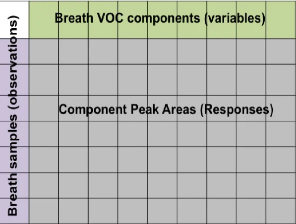Figure  21  The breath matrix summarising the observations recovered from a breath  study