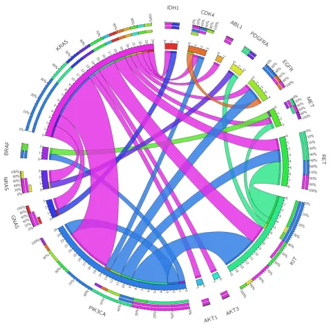 Figure 2: Genomic co-occurrence mutations found across those tumor samples with two or more mutations