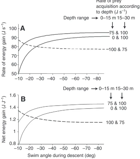 Table 4. Values in the linear relationship (y=ax+b) between the rate of descent in any dive (y) and the number of prey caught in thepreceding dive (x)